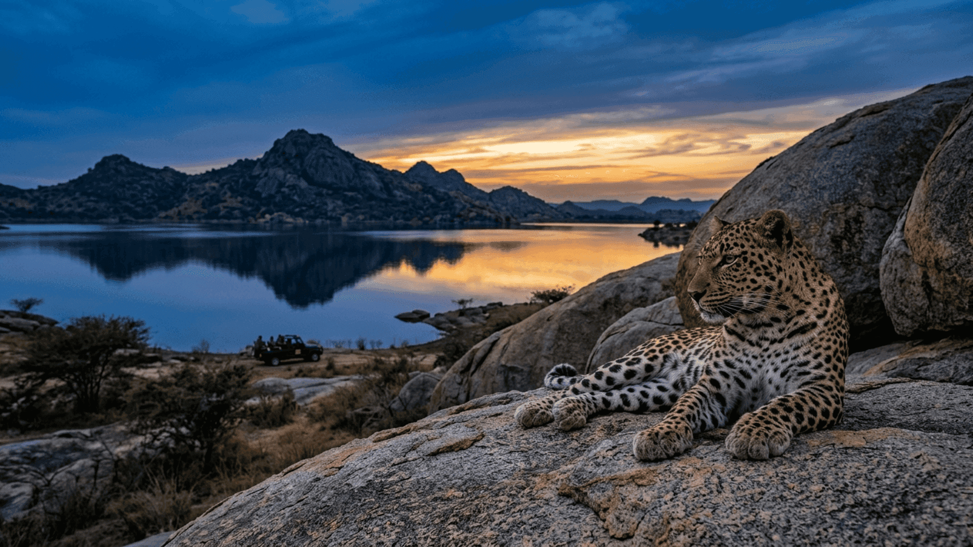 SANCTUARY - JAWAI DAM & LAKE SANCTUARY