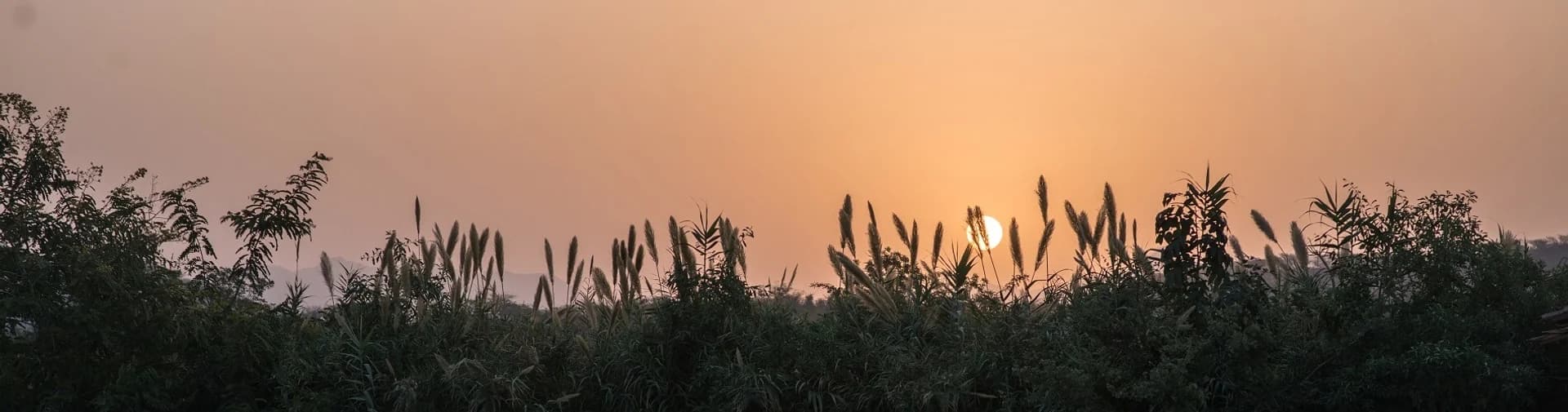 Evening sundowner and stargazing setup in Jawai