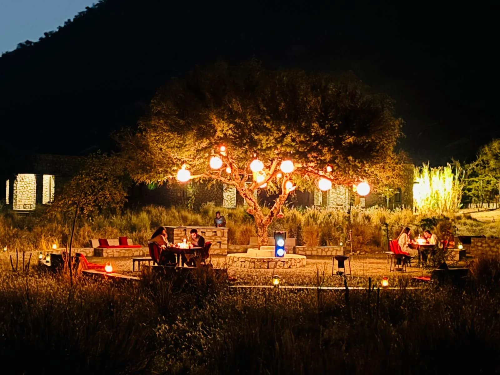 Evening bonfire gathering and ambient outdoor seating at J Wild